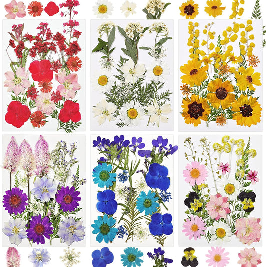 Dried Flowers for Resin, 106pcs Natural Flowers and Leaves Compressed