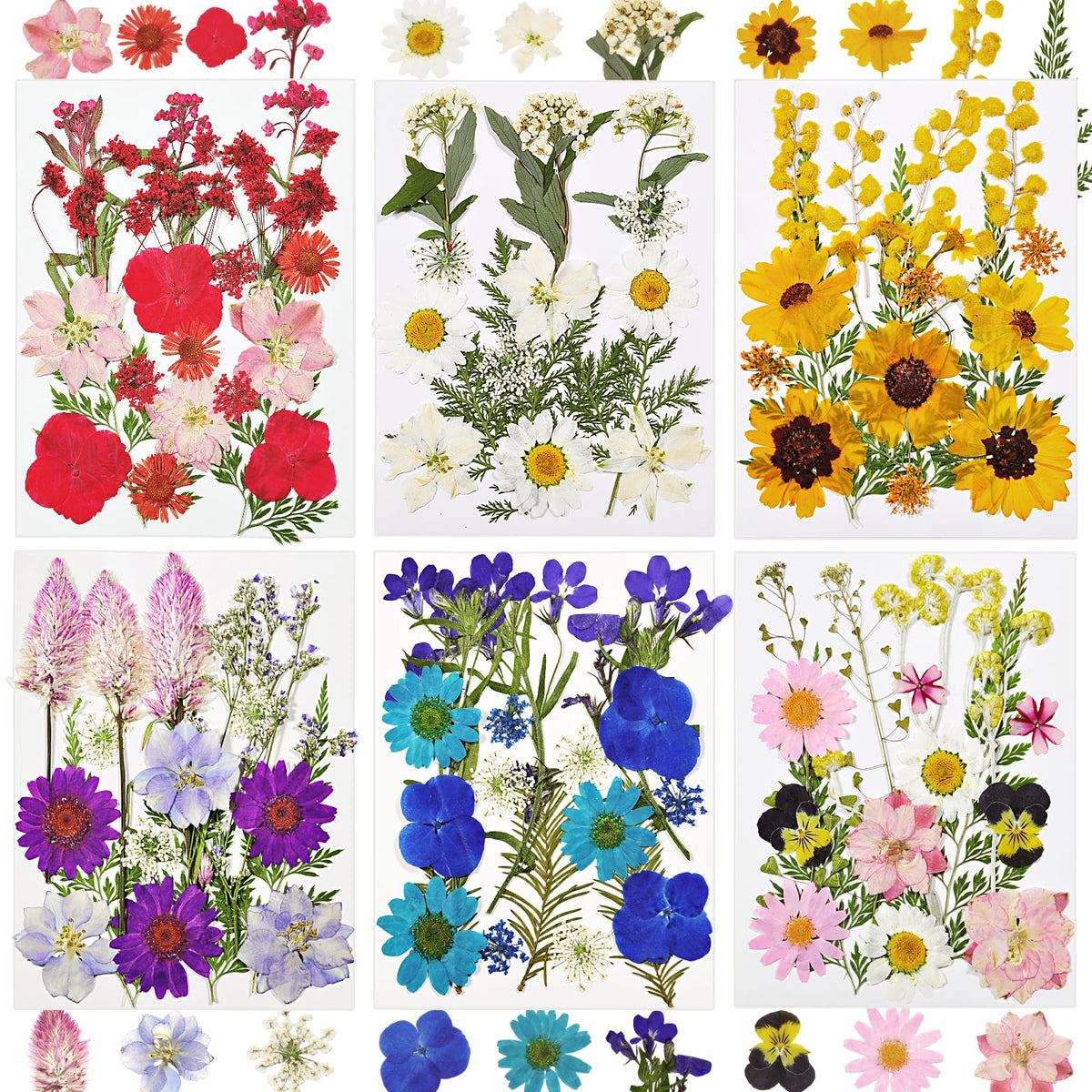 Dried Flowers for Resin, 106pcs Natural Flowers and Leaves Compressed