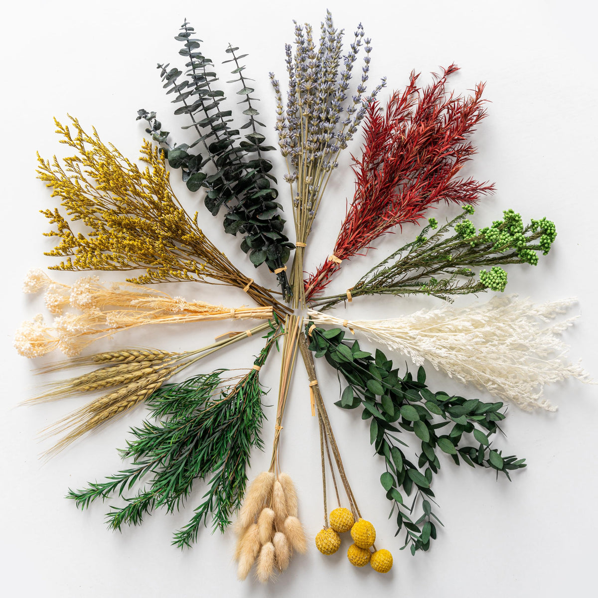 12 Kind Dried Flowers Set - Including Lavender, Eucalyptus, Wheat, Bunny Tails, Handmade for DIY Crafts, Vase Decor, Wedding/Home/Birthday/Seasonal Decor