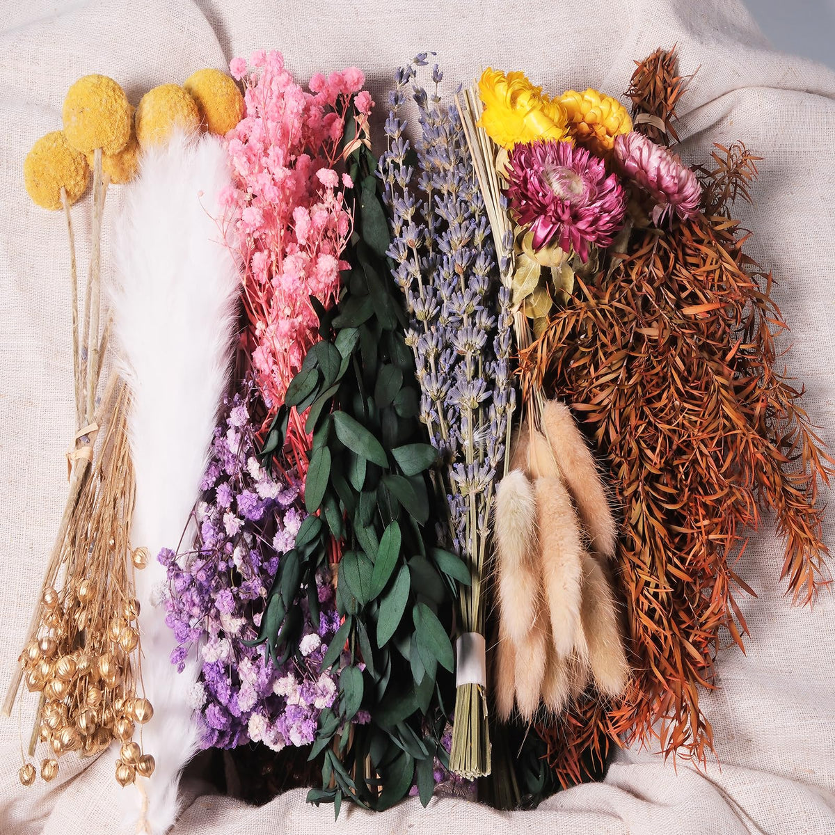 12 Kinds Natural Dried Flower Set, Bulk Dried Flowers for Vase,Mini Dried Flower Bouquets,Dried Flowers with Stems for DIY Crafts, Vase Decor,Home/Wedding/Birthday Decor(8.7-13.8in Flexible Stems)