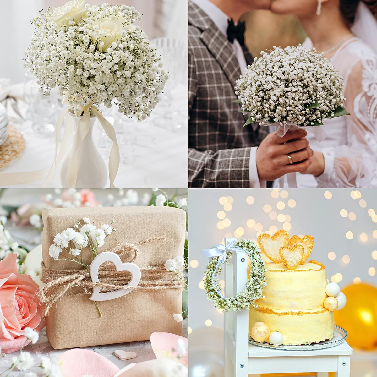 Preserved Baby's Breath 3 Bunches, 100% Natrual Fresh Gypsophila Long Lasting Flowers for Vase Arrangements Home Decoration Photo Props Parties and Weddings, DIY Décor-White