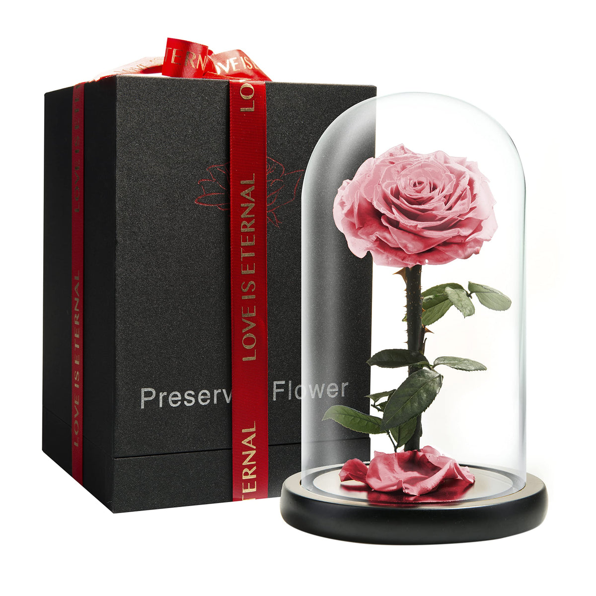 Forever Preserved Rose - Eternal Rose in Glass Dome - Beauty and the Beast Rose for Mom - Fresh Flowers in Glass (Red, 9 Inch)