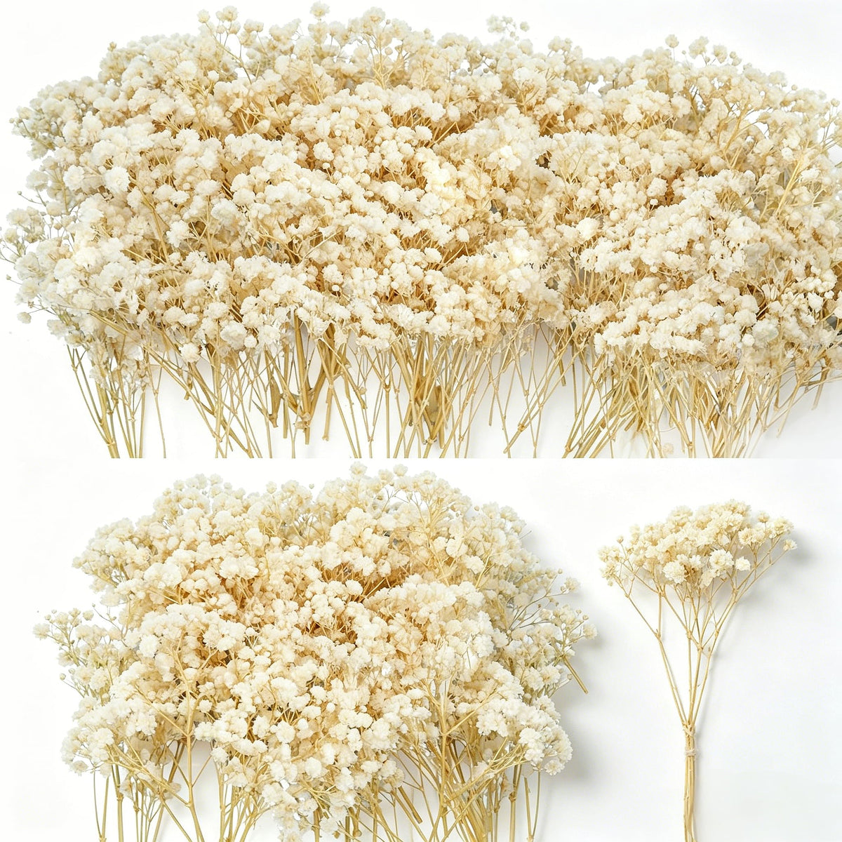 3000+ Mini Dried Baby's Breath Flowers 6'', Natural Ivory White Flowers