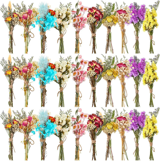 Nuanchu 30 Pcs Mini Dried Floral Flower Forget Me Not Bouquets