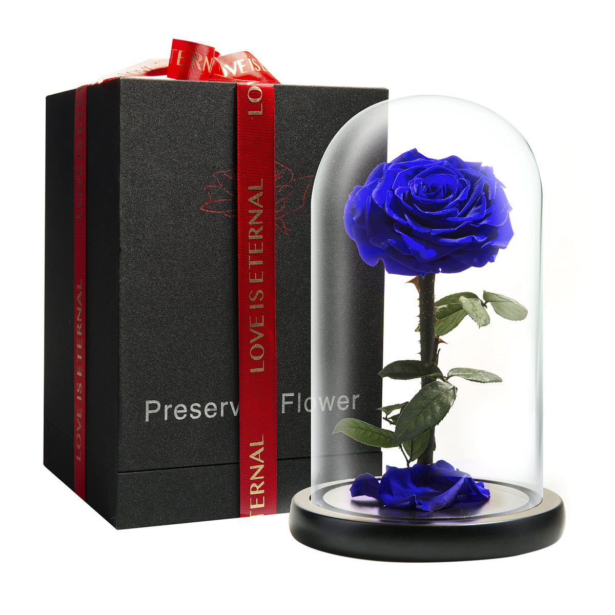 Forever Preserved Rose - Eternal Rose in Glass Dome - Beauty and the Beast Rose for Mom - Fresh Flowers in Glass (Red, 9 Inch)