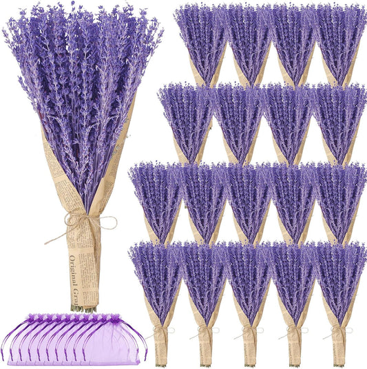 Yunlly 36 Bunches Dried Lavender Bundles 15.7 Inch Natural Dried Lavender Flowers 1440-1620 Stems Total for Wedding Decoration, Flower Arrangements DIY Crafts Photo Props Home Fragrance Gift for Her