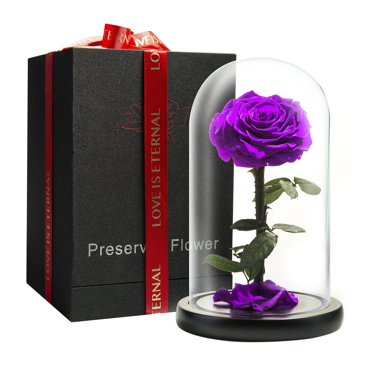 Forever Preserved Rose - Eternal Rose in Glass Dome - Beauty and the Beast Rose for Mom - Fresh Flowers in Glass (Red, 9 Inch)