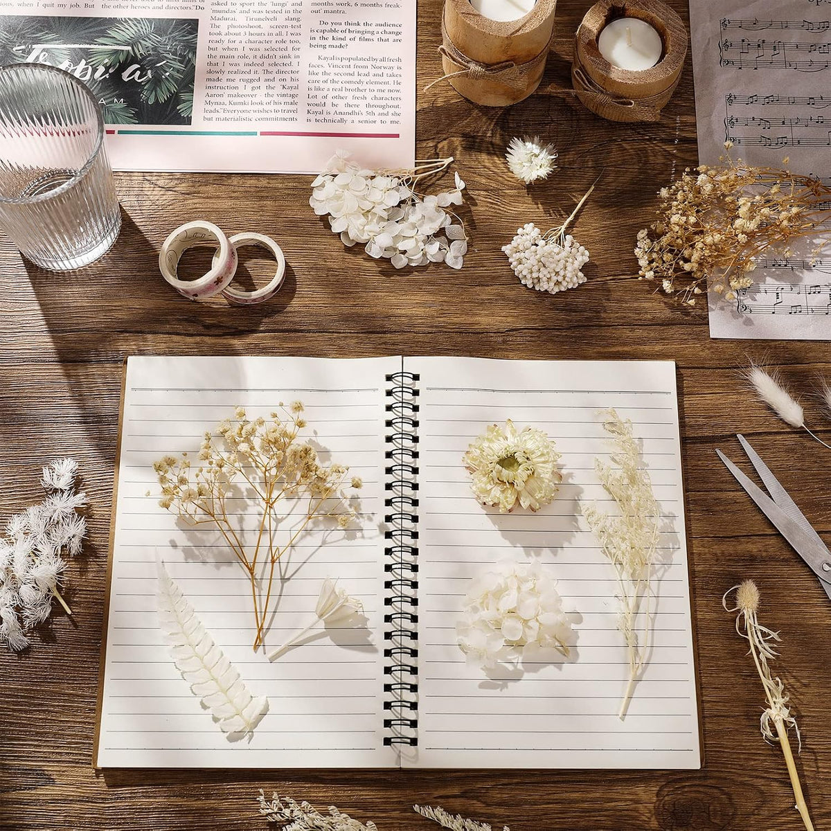 AhlsenL Real Natural Dried Flowers - Mixed Hydrangeas, Daisies, White Decorative for DIY Candle Resin Jewelry Nail Pendant Crafts (Beige)