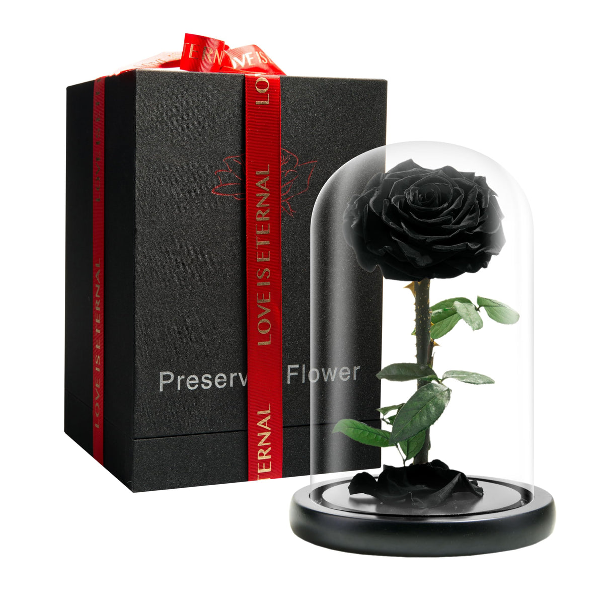 Forever Preserved Rose - Eternal Rose in Glass Dome - Beauty and the Beast Rose for Mom - Fresh Flowers in Glass (Red, 9 Inch)