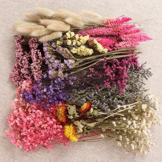 11 Kinds of Dried Flowers for Crafts Bulk DIY Natural Multi-color Wildflowers Dried Pampas Grass Lavender Forget Me Not Babys Breath with Stem Floral Arrangement Bouquets with Hemp Rope for Home Decor