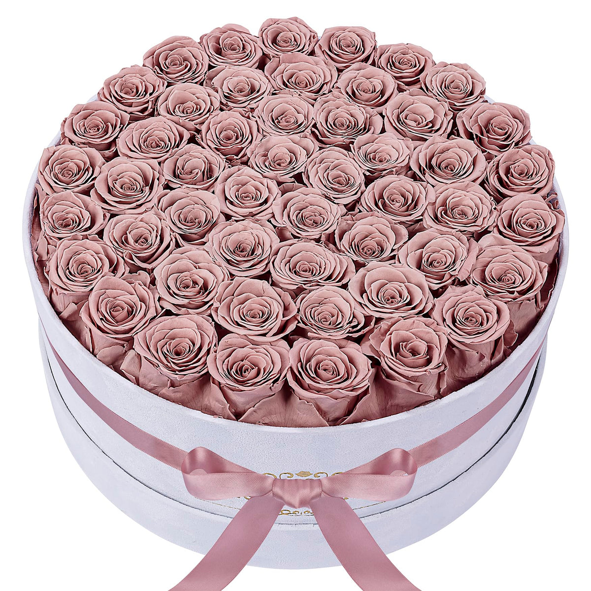 Perfectione Roses 27 Roses in Box, Mothers Day Rose, Flowers for Delivery