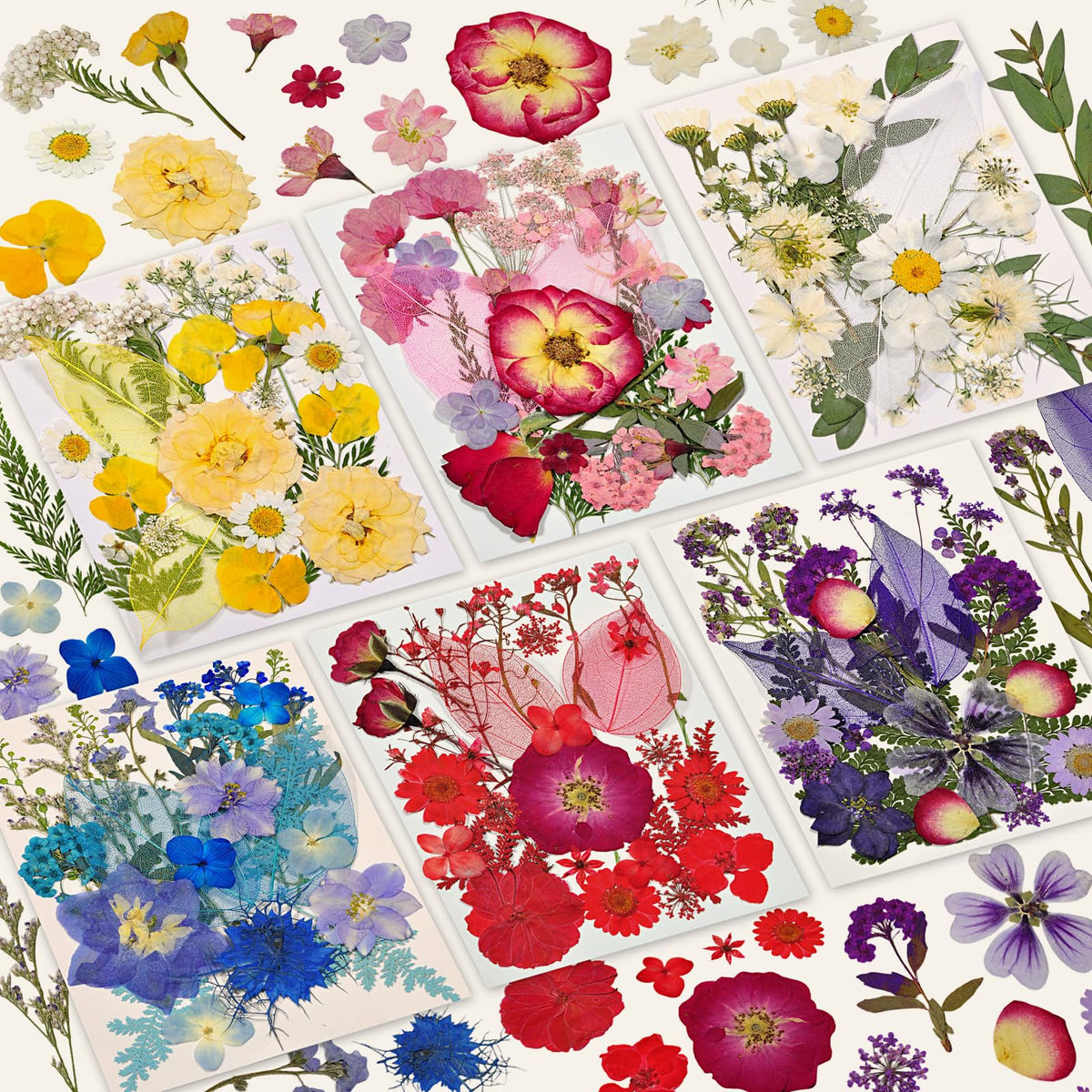 Dried Flowers for Resin, 106pcs Natural Flowers and Leaves Compressed