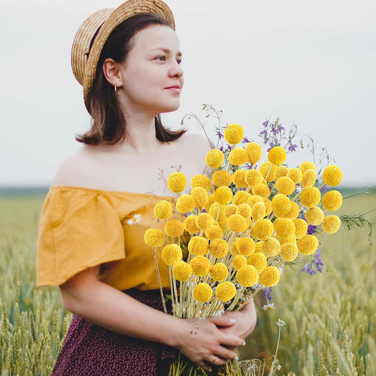 Uieke 30Pcs Natural Dried Flowers Craspedia Billy Balls Flowers Billy Buttons Floral Bouquet for Flower Arrangements Wedding Home Tall Vase Decor Yellow