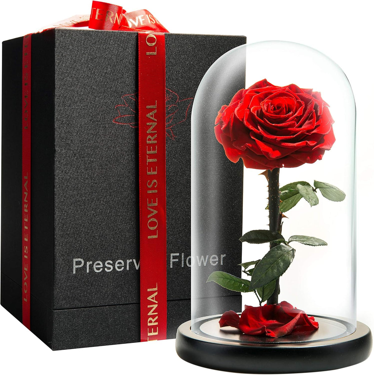 Forever Preserved Rose - Eternal Rose in Glass Dome - Beauty and the Beast Rose for Mom - Fresh Flowers in Glass (Red, 9 Inch)