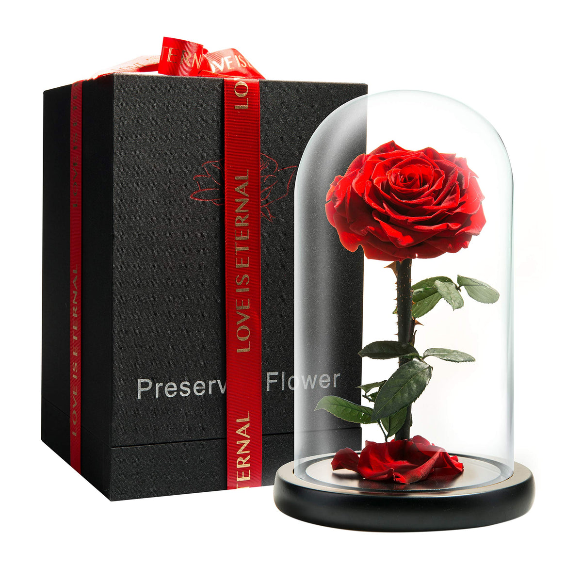 Forever Preserved Rose - Eternal Rose in Glass Dome - Beauty and the Beast Rose for Mom - Fresh Flowers in Glass (Red, 9 Inch)