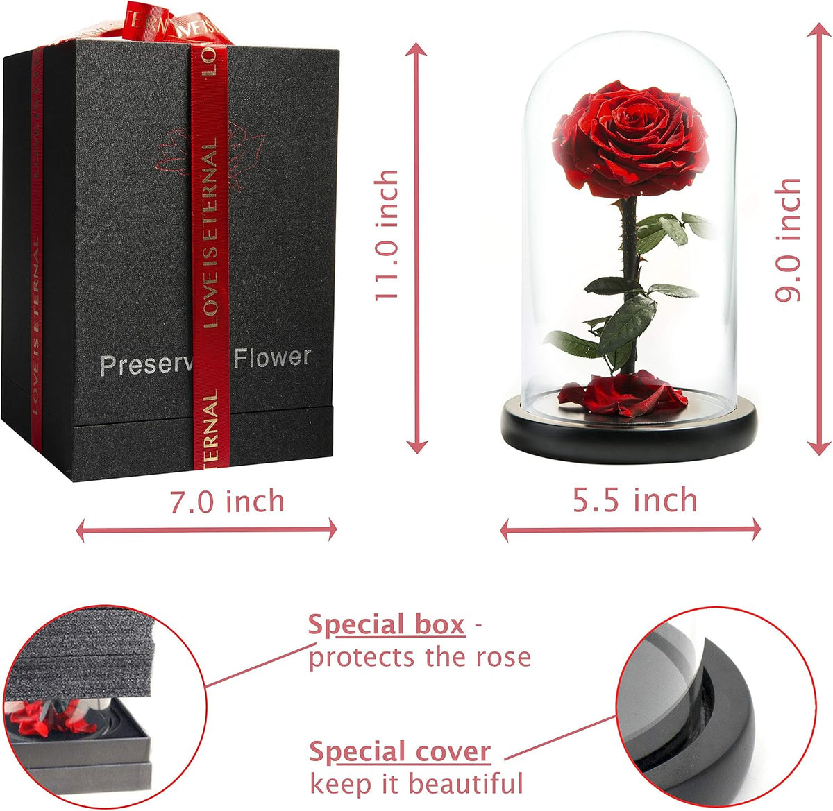 Forever Preserved Rose - Eternal Rose in Glass Dome - Beauty and the Beast Rose for Mom - Fresh Flowers in Glass (Red, 9 Inch)
