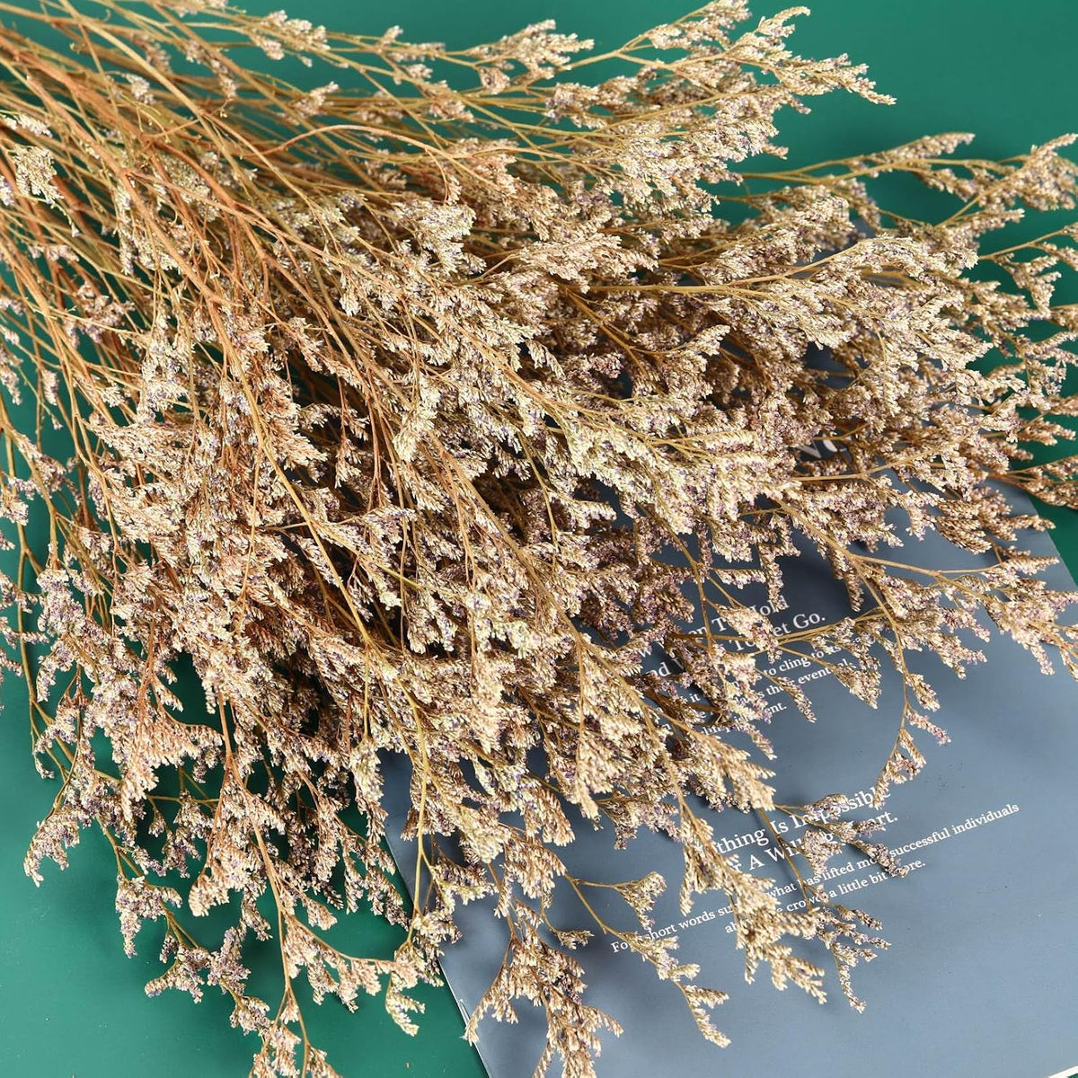Dried Flower Bouquet, 17'' Dry Natural Caspia Flowers Bundle for Vase Decor