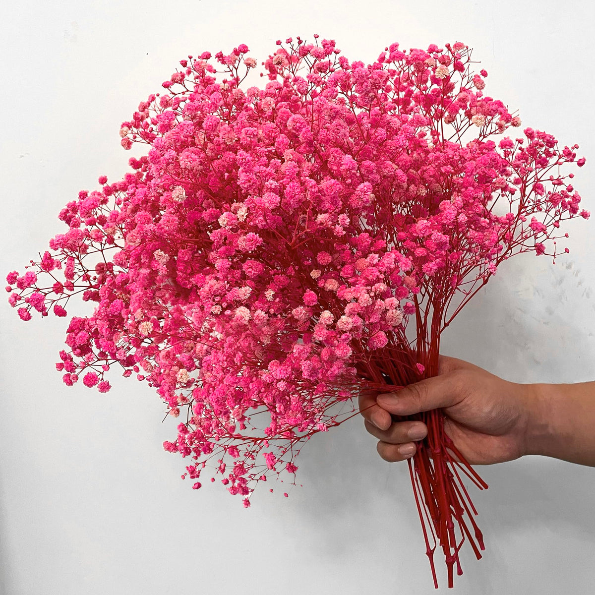Dried Baby's Breath Flowers, 3 oz, 17.2 in, Ivory White Gypsophila Bouquet