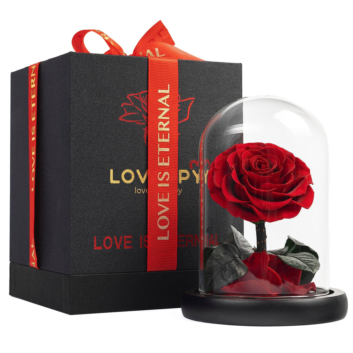 Forever Preserved Rose - Eternal Rose in Glass Dome - Beauty and the Beast Rose for Mom - Fresh Flowers in Glass (Red, 9 Inch)