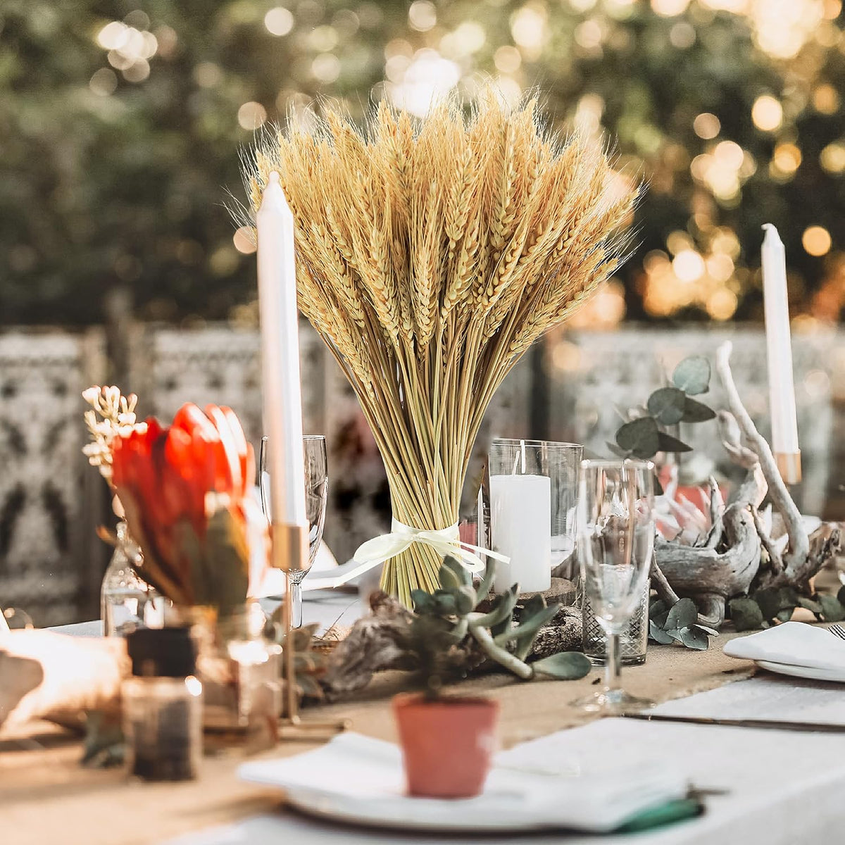 17.7 inches Dried Wheat Stalks, 100 Stems Dried Flowers 100% Natural Wheat for Home Kitchen Office Flowers Arrangement Wedding Table Farmhouse Boho Party Fall Décor