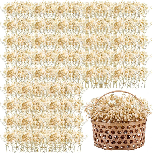 Fumete Mini Dried Baby Breath Flowers Dried Flowers, Natural White, 50 Pcs