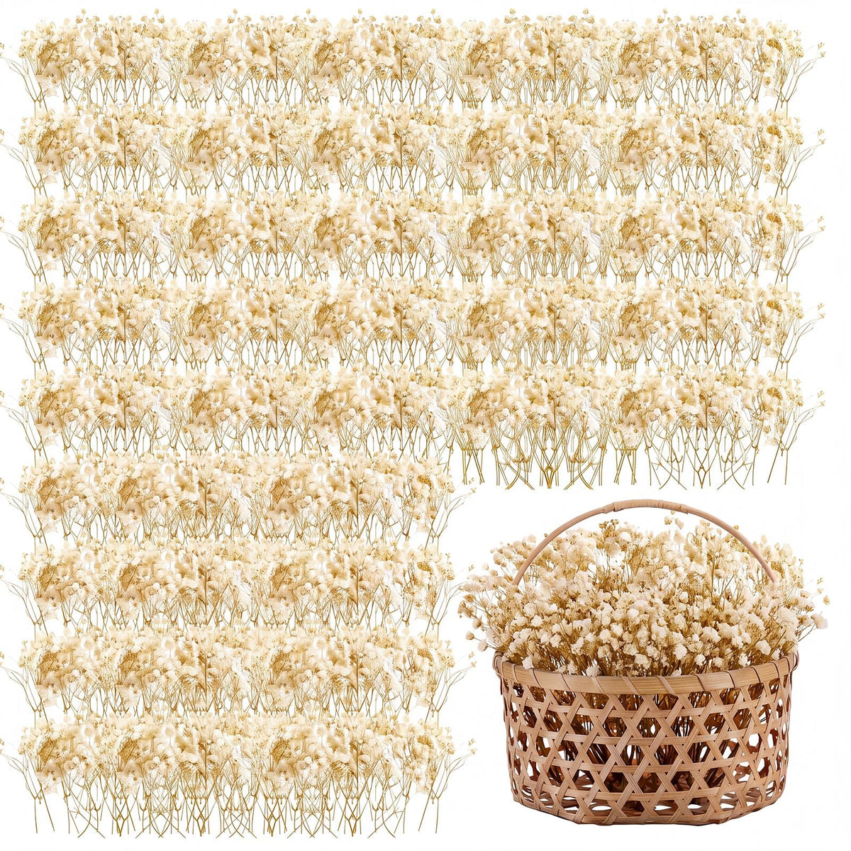 Fumete Mini Dried Baby Breath Flowers Dried Flowers, Natural White, 50 Pcs
