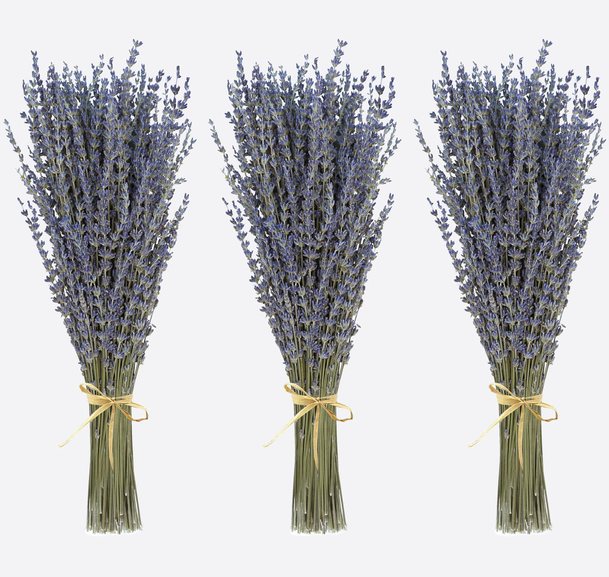 Dried Lavender 2 Bunches 100% Fresh Natural Purple Bouquet Flowers for Bathroom Photo Props Crafts Decoration, 15-17" for Shower Weeding Vase Decor, Home Fragrance(200-220 Stems(100g/3.5oz Total))